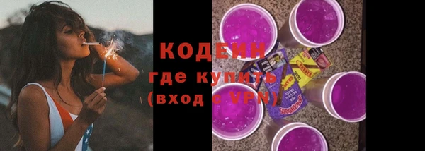 ECSTASY Лагань