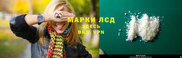 ECSTASY Лагань