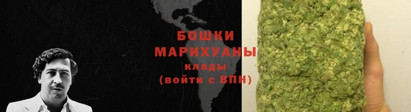 ECSTASY Лагань