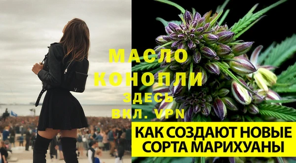 первитин Ладушкин