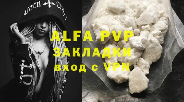 ECSTASY Лагань