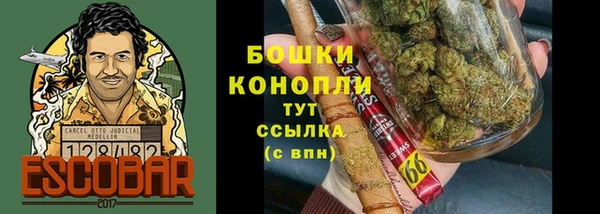 ECSTASY Лагань