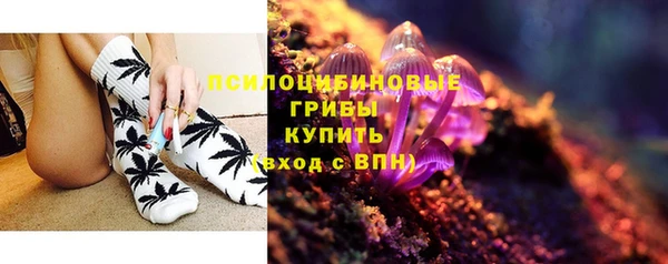первитин Ладушкин