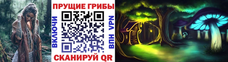 Галлюциногенные грибы Cubensis  маркетплейс какой сайт  KRAKEN маркетплейс  Усолье  даркнет сайт 